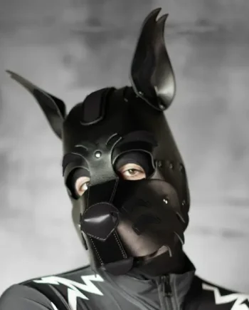 Boxer Barcelona X2 Pup Hood | All Black